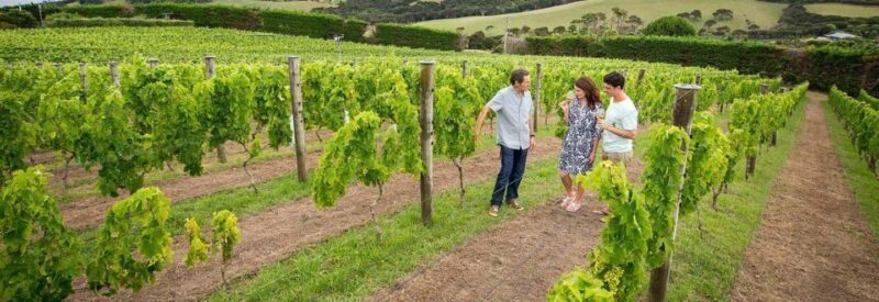 Auckland: Waiheke Island Luxury Experience Private Tour - FAQ