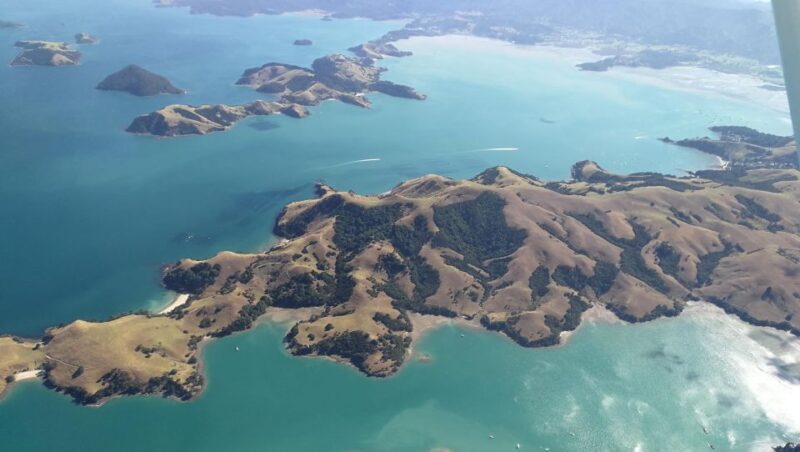 Auckland: Waiheke Island Wine and Food Tasting with Flights - Final Thoughts