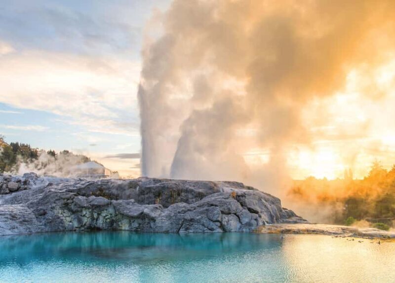Auckland: Waitomo Caves & Rotorua - Te Puia Small-Group Tour - FAQs