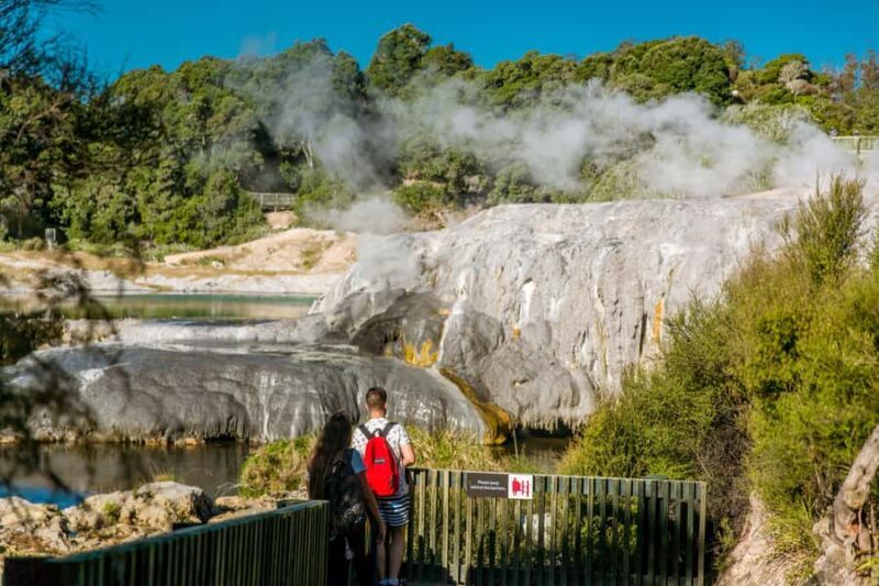 Auckland: Waitomo Caves & Te Puia Rotorua w Picnic Lunch - Exploring Rotorua’s Geothermal Wonders & Maori Culture