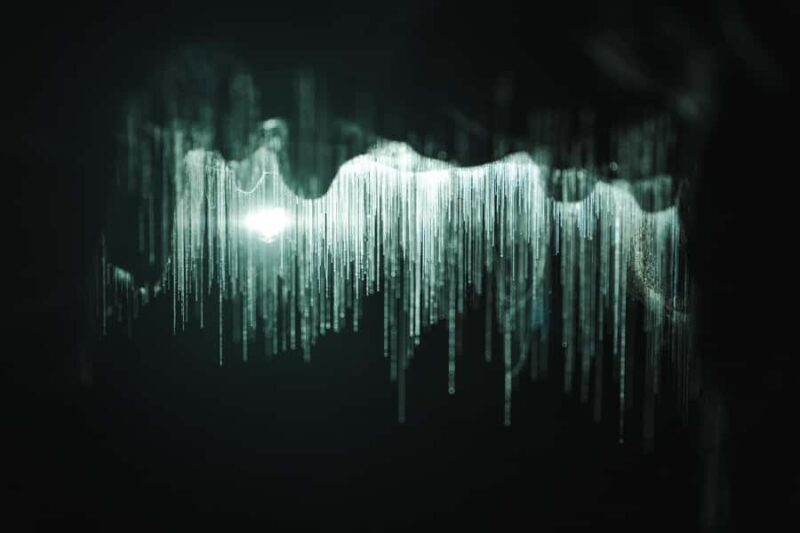 Auckland: Waitomo Caves & Te Puia Rotorua w Picnic Lunch - Who Is This Tour Best Suited For?