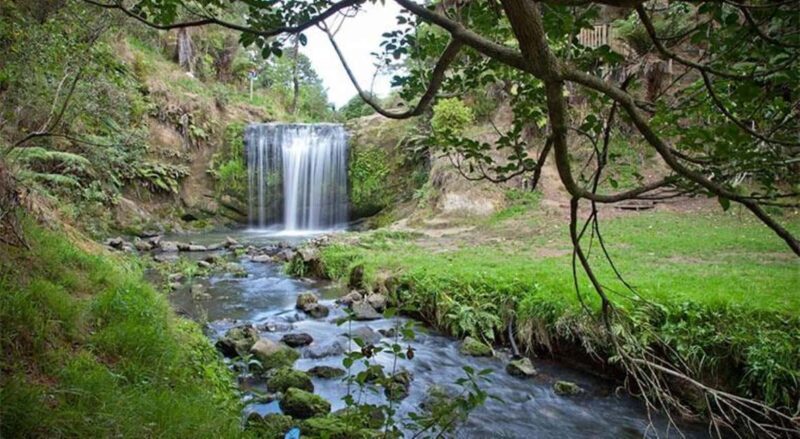 Auckland Waterfall Tour - Key Points