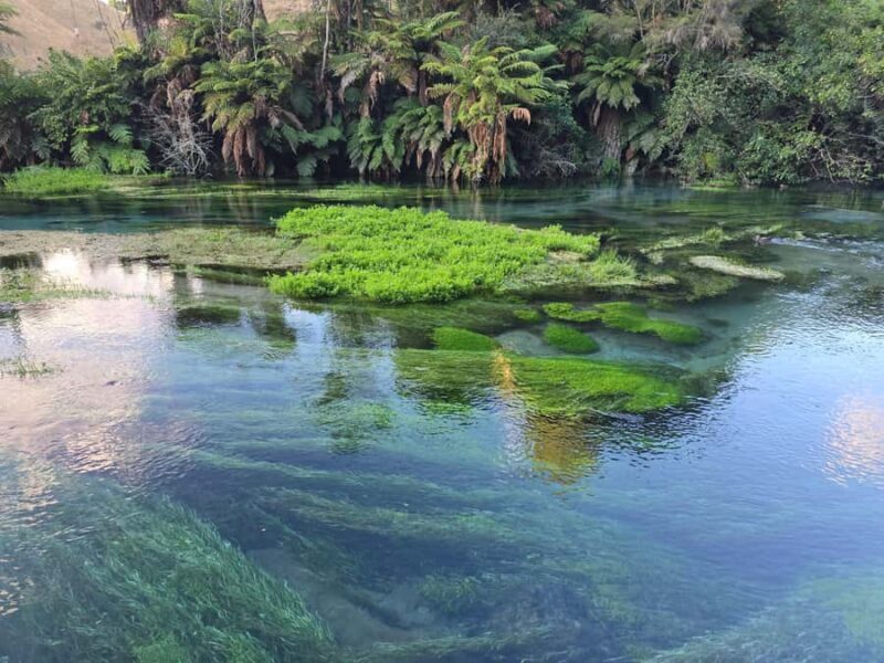 Auckland: Whakarewarewa Village & Wai-o-Tapu & Huka Falls - Who is This Tour Best For?