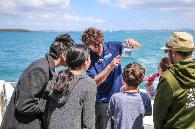 Auckland: Whale and Dolphin Watching Half-Day Eco Cruise - Key Points