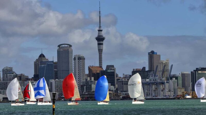 Auckland: Wild West Coast, Black Sand Beaches Tour inc Lunch - Value and Practical Insights