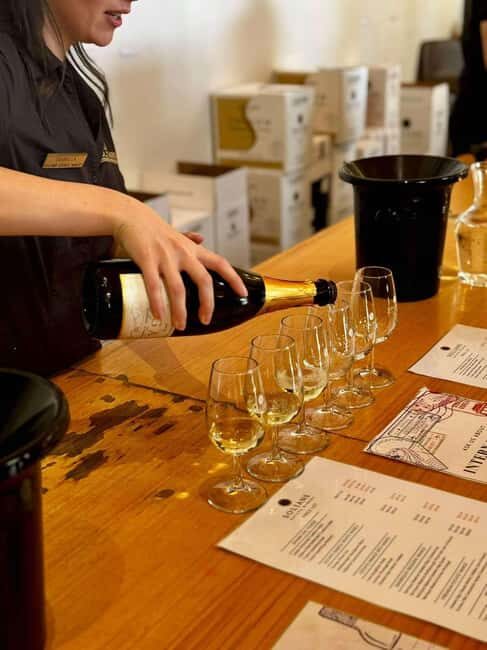 Auckland: Wine region tour with tastings and gourmet lunch - Exploring Aucklands Wine Region: A Detailed Review
