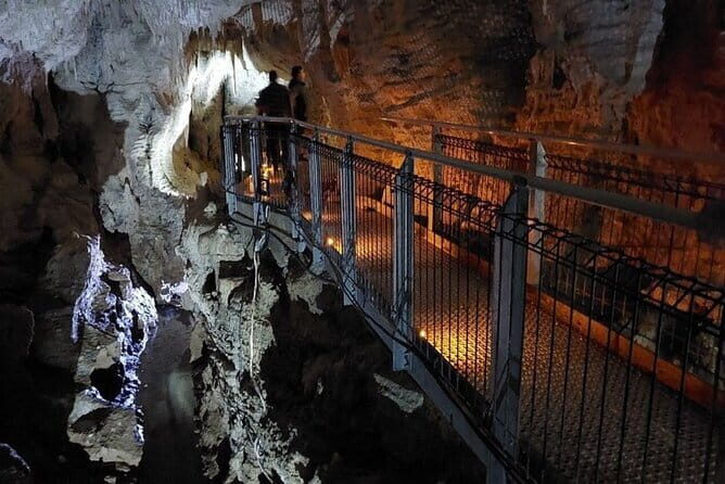 Auckland's Wild West Coast & Black Sand Beaches Tour inc Lunch - Who Will Love This Tour?