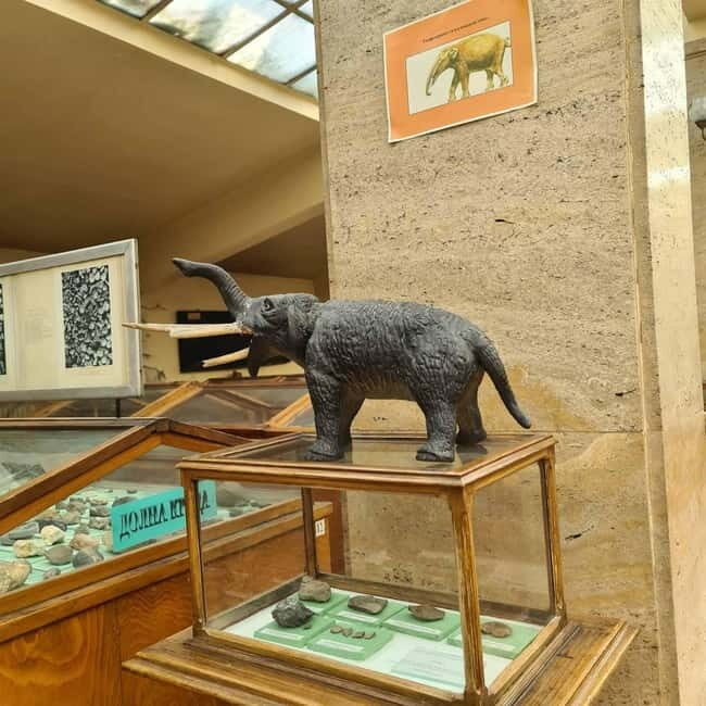 Audio Guide for Museum Paleontology and Historical Geology - Discovering the Museum’s Paleontological Treasures