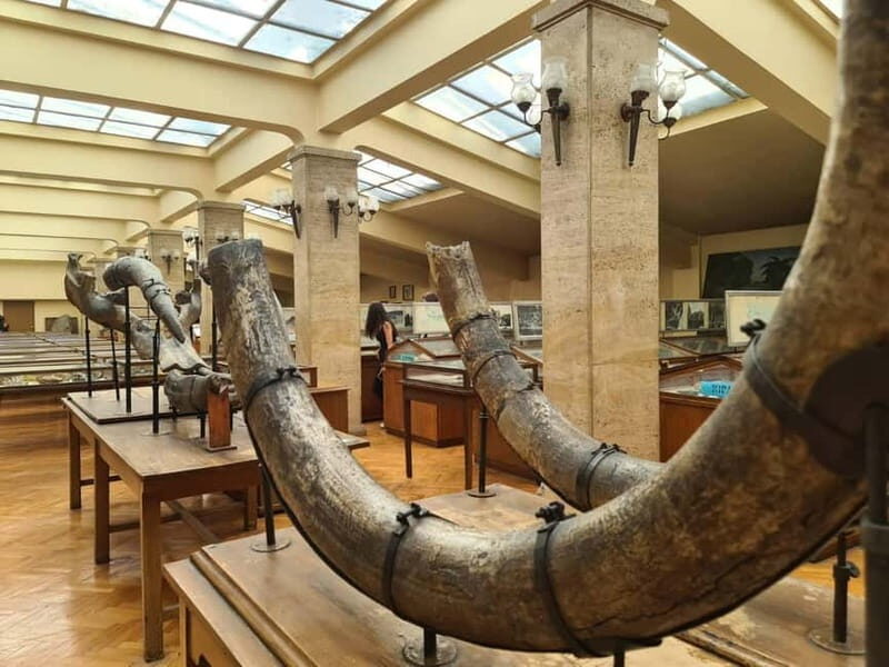 Audio Guide for Museum Paleontology and Historical Geology - The Audio Guide Experience: Simple and Informative