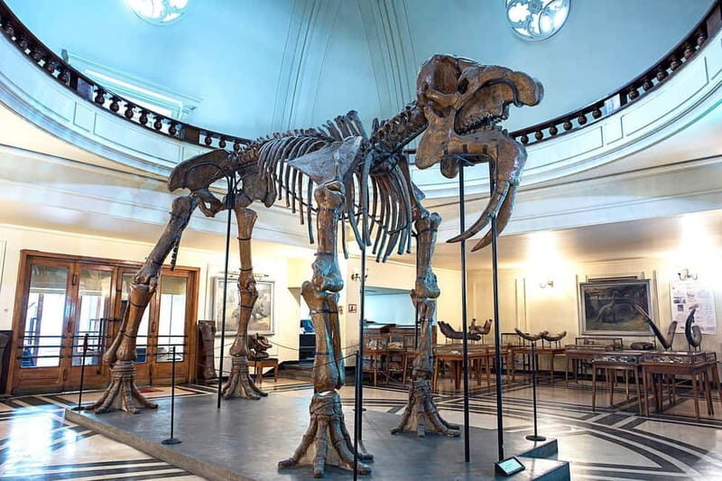 Audio Guide for Museum Paleontology and Historical Geology - Who Would Enjoy This Experience?