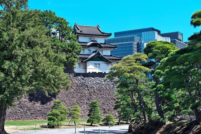 Audio Guide Tour in The East Gardens of the Imperial Palace - An In-Depth Look at the Experience