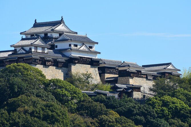 audio-guided-tour-in-matsuyama-castle