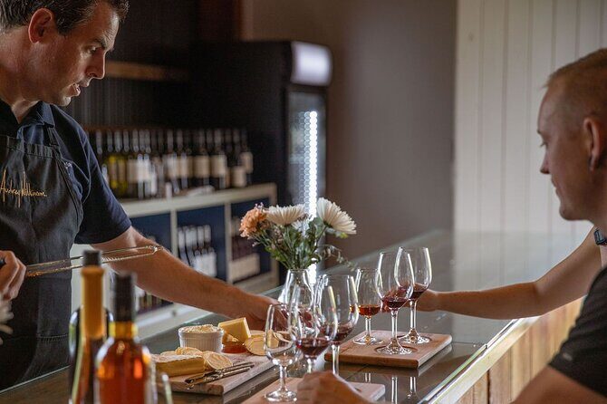 Audrey Wilkinson Vineyard: Fromage and Fortified Wine Experience - The Itinerary in Detail