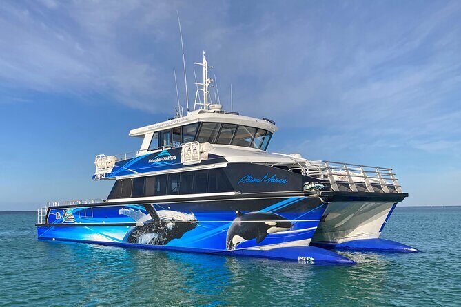 Augusta Whale Watching Eco Tour - Authenticity and Tips from Reviewers