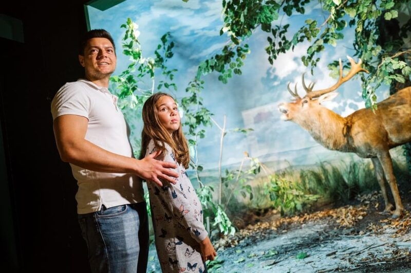 augustusburg-castle-entrance-ticket-to-augustusburg-castle