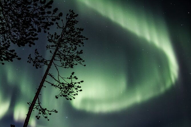aurora-borealis-picnic-in-rovaniemi