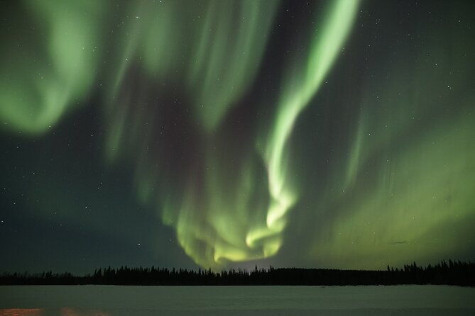 aurora-borealis-picnic-in-rovaniemi