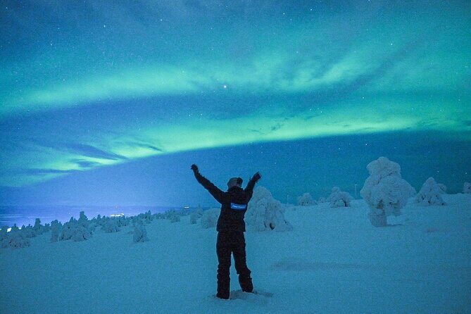 Aurora Hunt for 3 Hours in Saariselkä - Final Thoughts on Value and Suitability