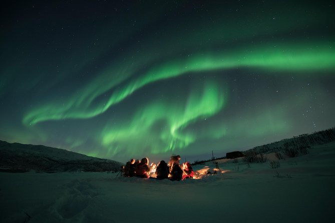 aurora-hunt-tour-from-tromso-professional-photos-included