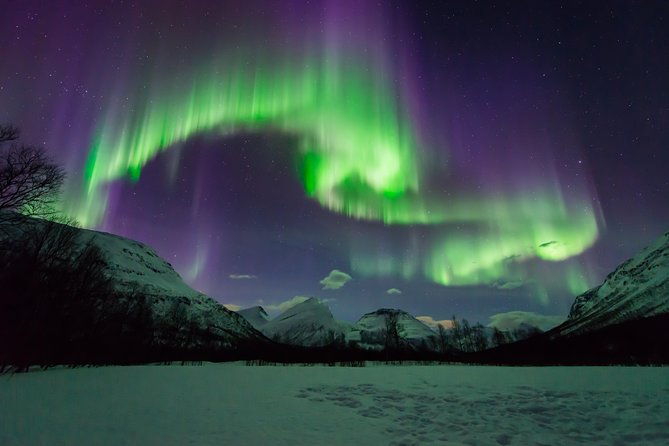 aurora-hunt-tour-from-tromso-professional-photos-included