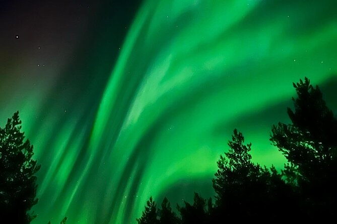 aurora-hunt-with-bbq-in-rovaniemi