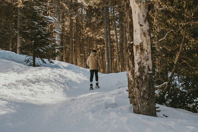 aurora-hunting-with-snowshoes