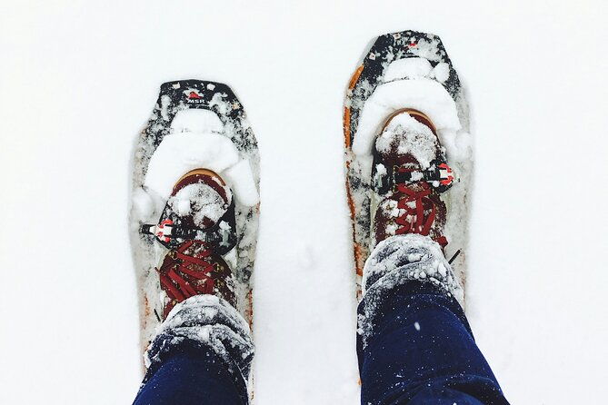 aurora-hunting-with-snowshoes