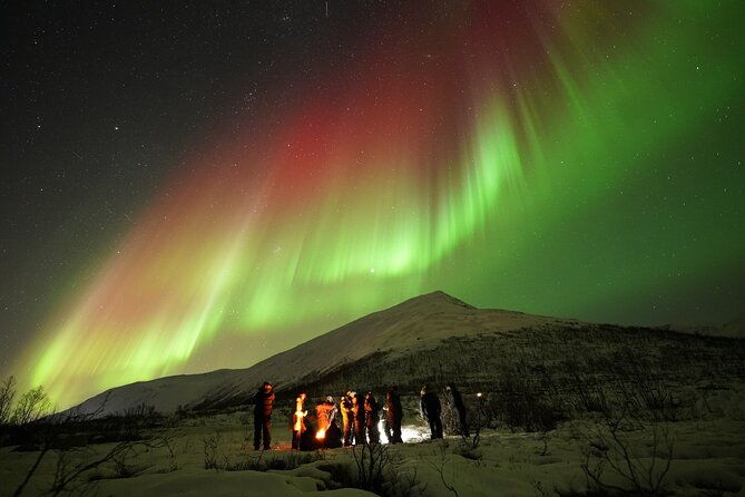 aurora-tour