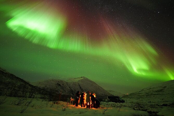 aurora-tour