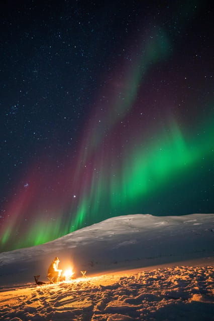 aurora-tour-for-all-with-tromso-accessible-tours