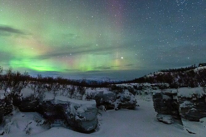 aurora-tour-with-dinner-in-abisko-2