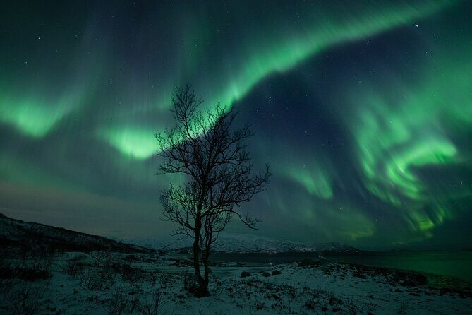 Auroras Hunt - Tour in Spanish, Northern Lights Chase in Spanish - Who Should Consider This Tour?