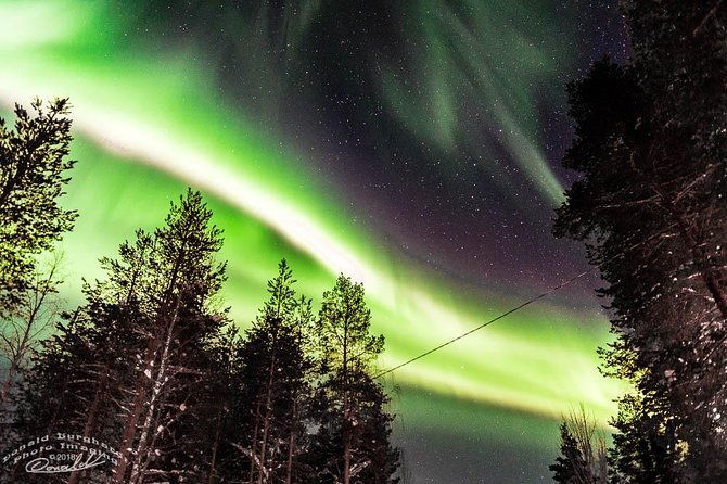 auroras-northern-lights-tours-by-aurora-experts-rovaniemi