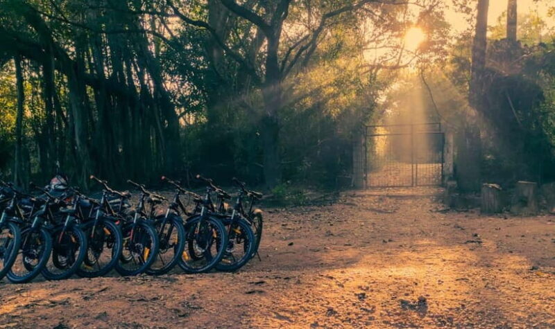 Auroville: Nature Trail Forest Cycling Adventure - Who Would Love This Experience?