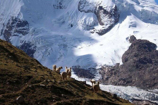 ausangate-red-lake-trek-1-day-huaynas-expeditions