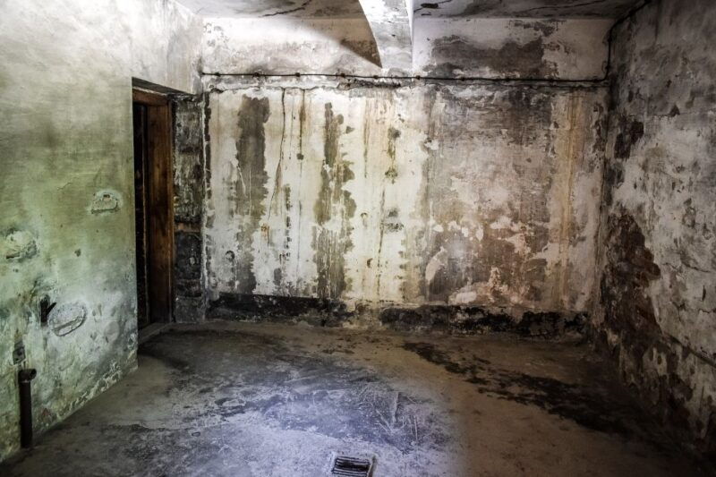 auschwitz-birkenau-entrance-ticket-and-live-tour-guide