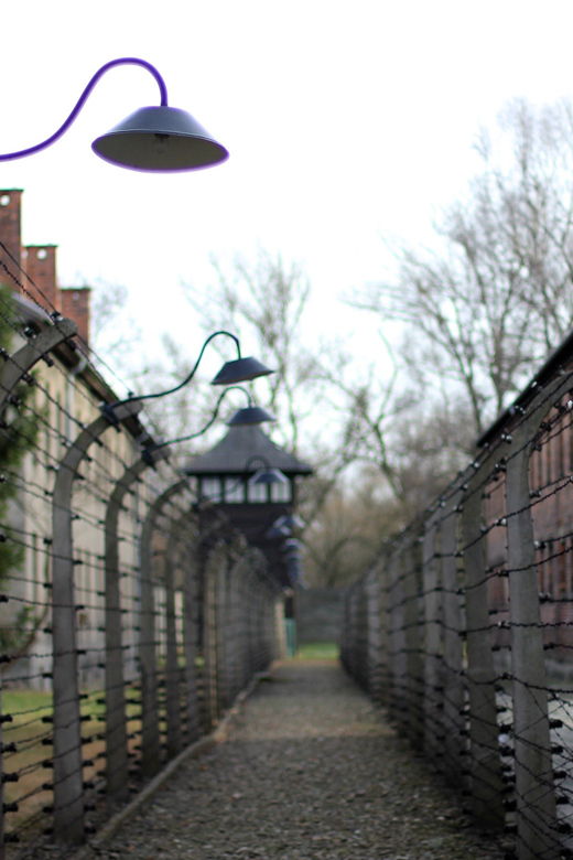 auschwitz-birkenau-full-day-tour-from-lodz-by-private-car