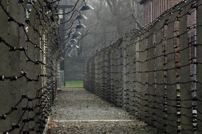 Auschwitz-Birkenau last minute guided Tour - Exploring the Auschwitz-Birkenau Experience