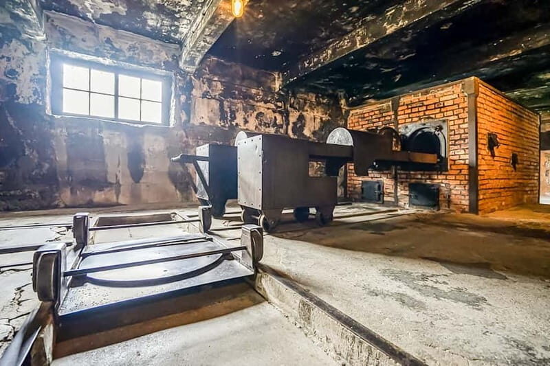 Auschwitz-Birkenau Skip-the-Line Guided Tour - The Sum Up