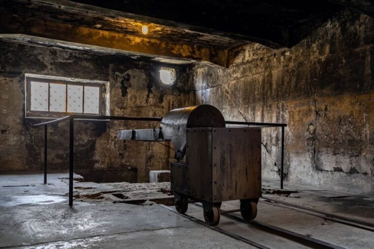 auschwitz-birkenau-skip-the-line-ticket-and-guided-tour-2