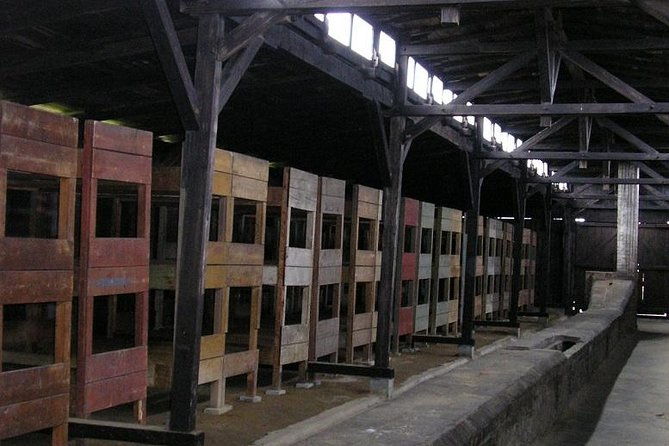 auschwitz-guided-tour-2