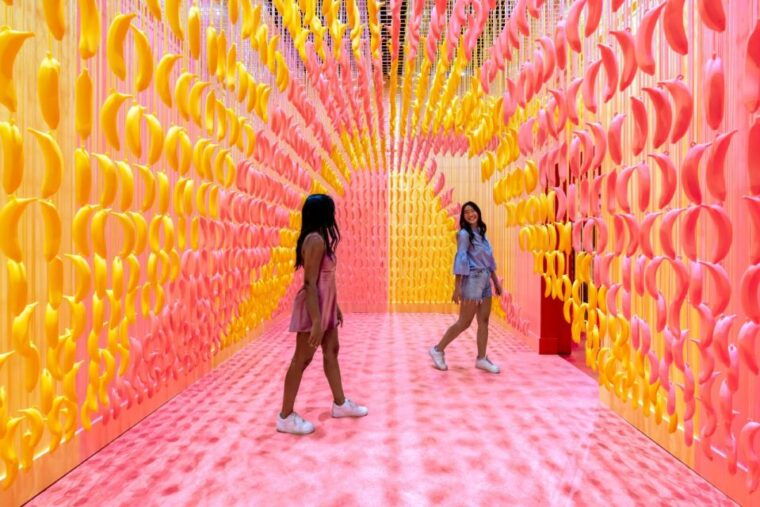 austin-museum-of-ice-cream-admission-ticket
