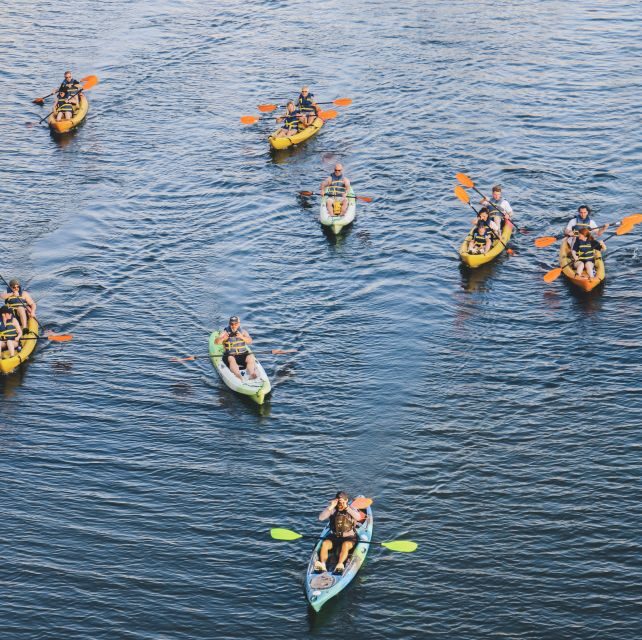 Austin: Single or Double Kayak Rental - Discovering Lady Bird Lake: What to Expect