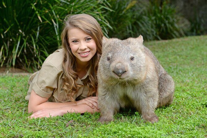Australia Zoo Day Trip from Noosa /Sunshine Coast Region - Introducing the Australia Zoo Day Trip from Noosa / Sunshine Coast Region