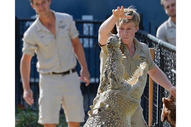 Australia Zoo Day Trip from Noosa /Sunshine Coast Region - Key Points