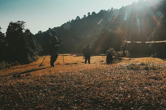 Australian Base Camp Dhampus Trek 1 Night 2 Day - Exploring the Trekkable Highlights and Practical Details