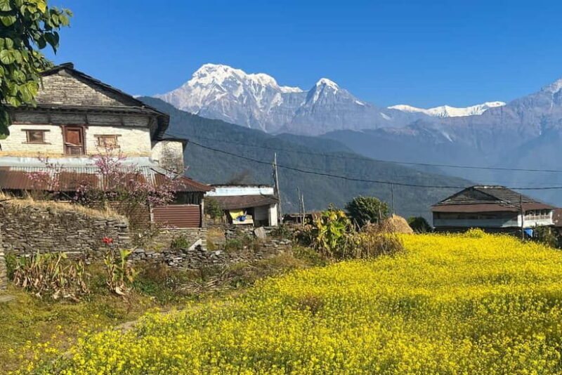 Australian Camp & Dhampus: 2-Day Private Trekking Tour - Practical Tips for Your Trek