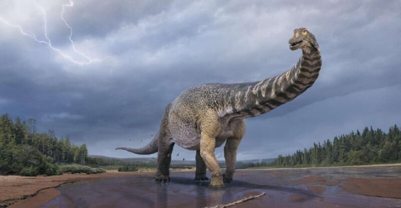 Australian Dinosaur Giants Tour - An In-Depth Look at the Australian Dinosaur Giants Tour