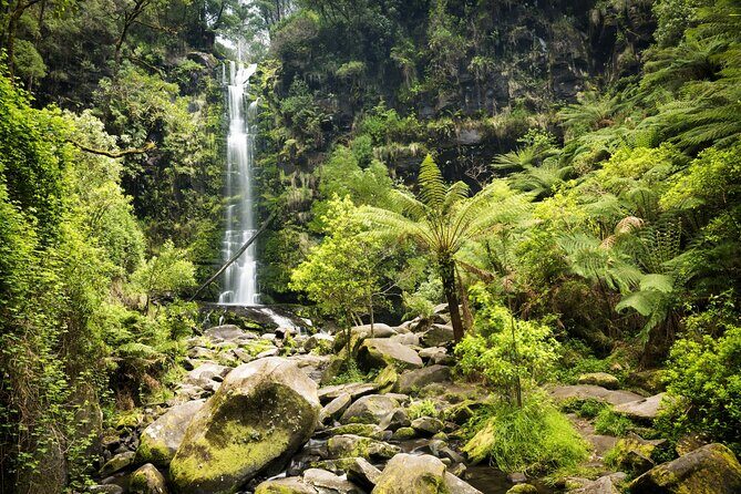 Australias Great Ocean Road Self-Guided Driving Audio Tour - An In-Depth Look at the Great Ocean Road Audio Tour