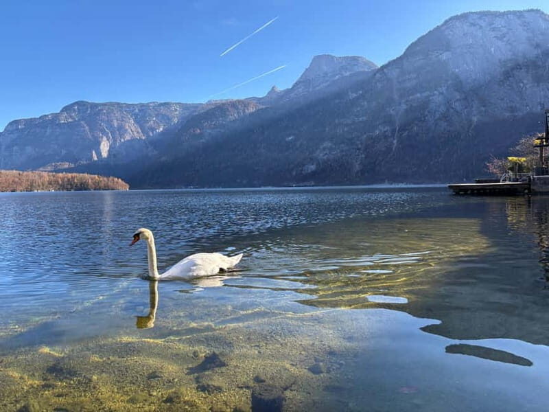 Austria: Hallstatt and Salzburg Tour with Wine Tasting - Exploring Austria’s Legendary Spots